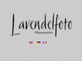 lavendelphoto.com