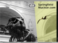 springfieldnuclear.com