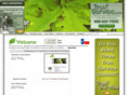 abilenetreeservices.com