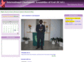 icagfinland.com