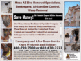 mesaazbeeremoval.com