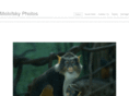 molofskyphotos.com