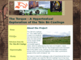 thetaintorque.com