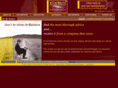 businessadvicebureau.com