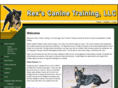 flyballk9s.com