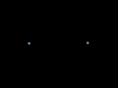 pellebus.com