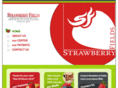 strawberryfieldsmmj.com