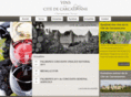 vins-citedecarcassonne.com