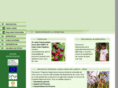 cedecam.org