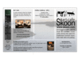 skoon.com