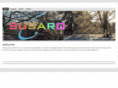 surfingsamurairobots.com