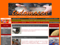 todomosca.com