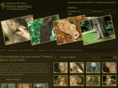 treephotopaintings.com