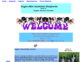 angersausomeaussies.com