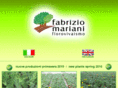 fabriziomariani.com