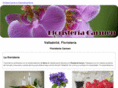 floristeriacarmen.com