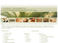 sonicdivinitymusictherapy.com