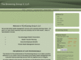 tbg2i.com