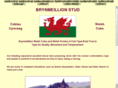 brynmeillion.com