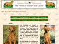 goldenbee-retrievers.com