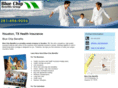 healthinshouston.com