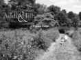 addishill.com