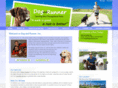 dogandrunner.com