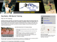 fastnfittraining.com
