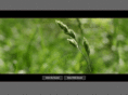 justlikethatfoto.com