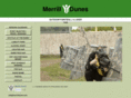merrilldunes.com