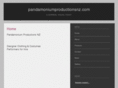 pandamoniumproductionsnz.com