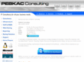 pebkac-consulting.com