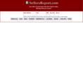 sellersreport.com