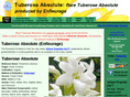 tuberoseabsolute.com