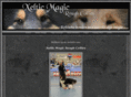 xelticmagic.com