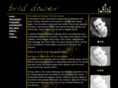 briddower.com