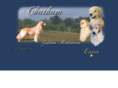 chathamgoldenretrievers.com