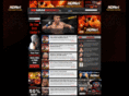 fighterbox.com