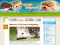 marylandhedgehogs.com