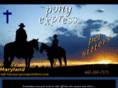 ponyexpresspetsitters.com