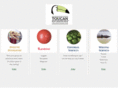 toucanenterprises.com