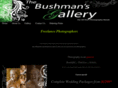 bushmansgallery.com