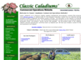 classic-caladiums.com