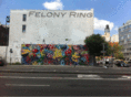 felonyring.com