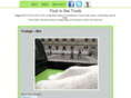 footinthetruck.com
