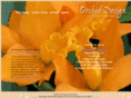 orchidesign.com