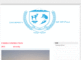 university-of-mt-fuji.com