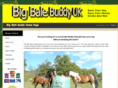 bigbalebuddyuk.com