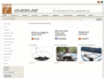 guidelineflyfish.com