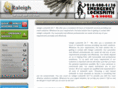 myraleighlocksmith.com